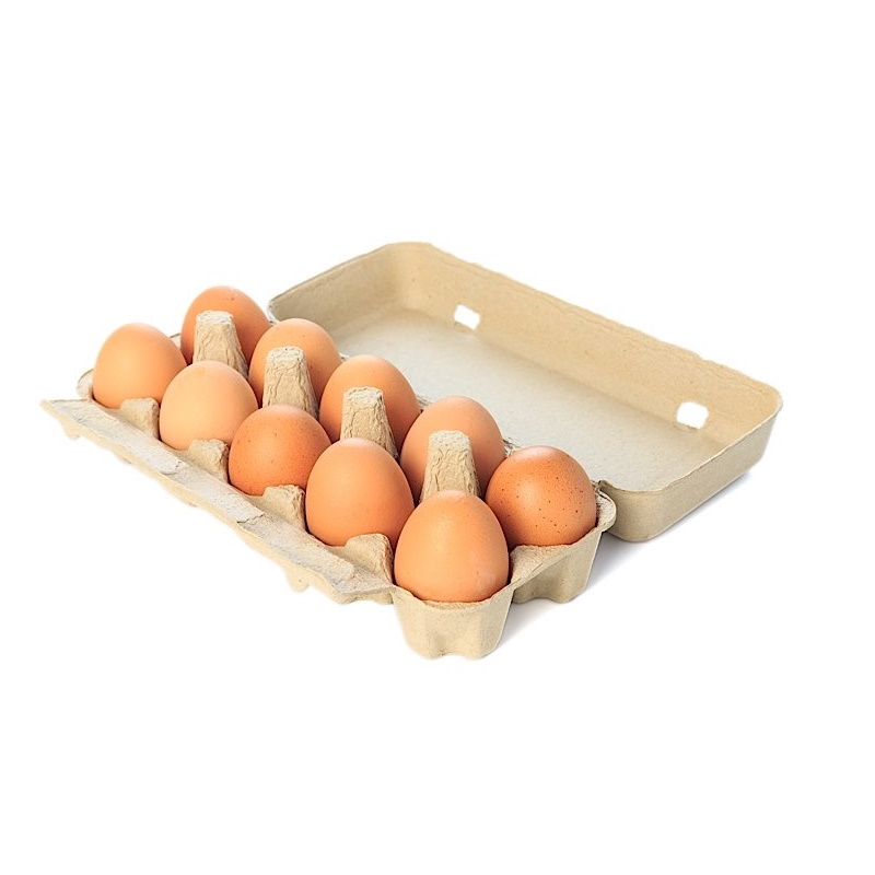 Frische Eier aus Bodenhaltung vom Stauberhof