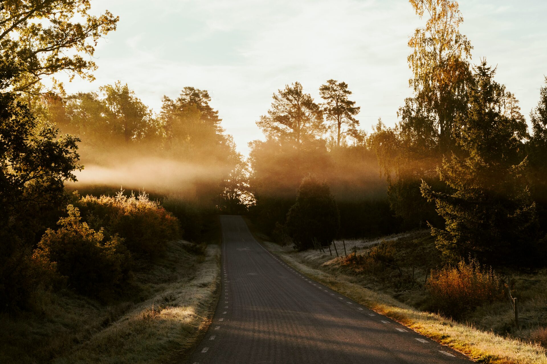 tageslicht erholung, Morgenlicht in der Natur als Gegenpol zum langen Liegen im Bett