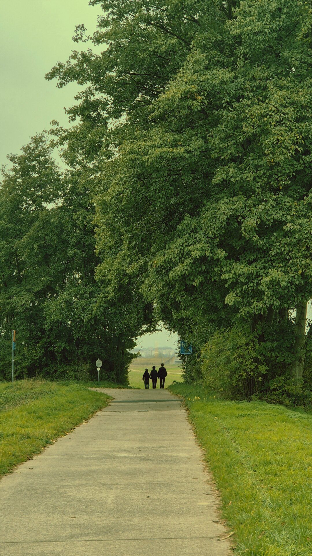 Drei Personen bei einem gemeinsamen Spaziergang im Grünen